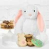 Snuggle Bunny With Cookie Treats -MRS. FIELDS Sales Store 2023 MFC 23EBUND012 Snuggle Bunny with Treats Web Image 1600px 1721