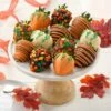Full Dozen Fall Belgian Chocolate Strawberries